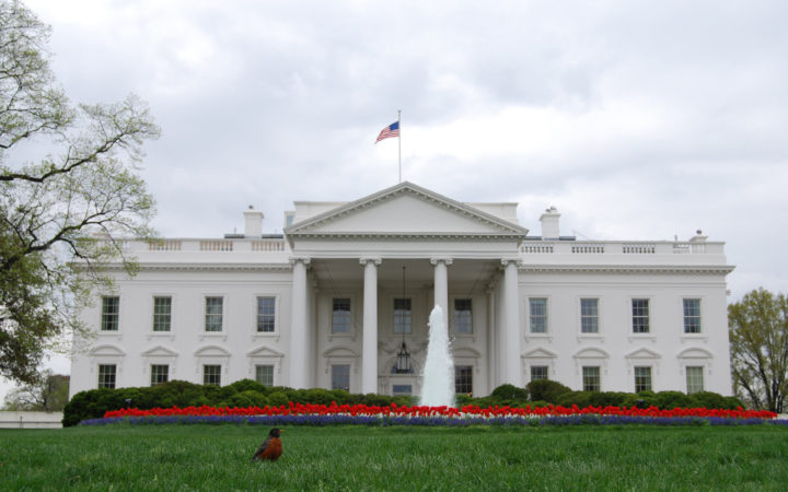 project-whitehouse